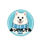モフモフサモエドのシロ君（個別スタンプ：9）