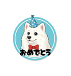 モフモフサモエドのシロ君（個別スタンプ：10）