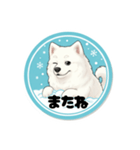 モフモフサモエドのシロ君（個別スタンプ：11）