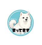 モフモフサモエドのシロ君（個別スタンプ：12）
