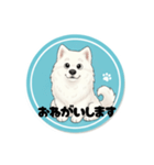 モフモフサモエドのシロ君（個別スタンプ：13）