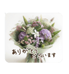 一年中使える 花と暮らし 便利な毎日2（個別スタンプ：4）