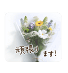 一年中使える 花と暮らし 便利な毎日2（個別スタンプ：15）