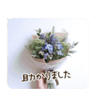 一年中使える 花と暮らし 便利な毎日2（個別スタンプ：17）