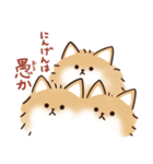 ケルベロス（ポメラニアン）（個別スタンプ：5）