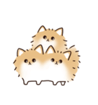 ケルベロス（ポメラニアン）（個別スタンプ：7）