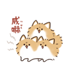 ケルベロス（ポメラニアン）（個別スタンプ：10）
