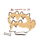 ケルベロス（ポメラニアン）（個別スタンプ：14）