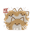 ケルベロス（ポメラニアン）（個別スタンプ：15）