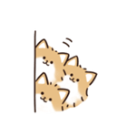 ケルベロス（ポメラニアン）（個別スタンプ：16）