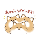 ケルベロス（ポメラニアン）（個別スタンプ：19）