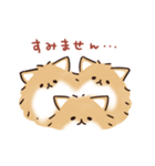 ケルベロス（ポメラニアン）（個別スタンプ：20）