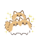 ケルベロス（ポメラニアン）（個別スタンプ：21）