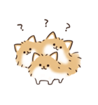 ケルベロス（ポメラニアン）（個別スタンプ：23）