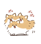 ケルベロス（ポメラニアン）（個別スタンプ：24）