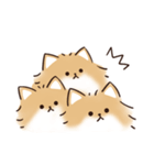 ケルベロス（ポメラニアン）（個別スタンプ：28）