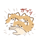 ケルベロス（ポメラニアン）（個別スタンプ：31）