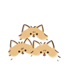 ケルベロス（ポメラニアン）（個別スタンプ：33）