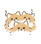 ケルベロス（ポメラニアン）（個別スタンプ：34）