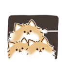 ケルベロス（ポメラニアン）（個別スタンプ：35）