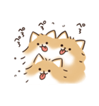 ケルベロス（ポメラニアン）（個別スタンプ：37）