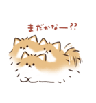 ケルベロス（ポメラニアン）（個別スタンプ：39）