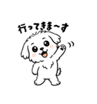 白い犬(もふもふマルチーズ)2（個別スタンプ：3）