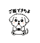 白い犬(もふもふマルチーズ)2（個別スタンプ：5）