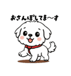 白い犬(もふもふマルチーズ)2（個別スタンプ：13）