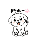 白い犬(もふもふマルチーズ)2（個別スタンプ：18）