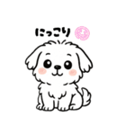白い犬(もふもふマルチーズ)2（個別スタンプ：20）