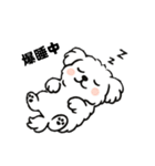 白い犬(もふもふマルチーズ)2（個別スタンプ：23）