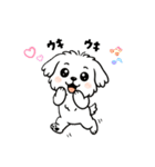 白い犬(もふもふマルチーズ)2（個別スタンプ：25）