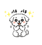 白い犬(もふもふマルチーズ)2（個別スタンプ：26）