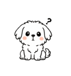 白い犬(もふもふマルチーズ)2（個別スタンプ：30）