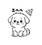 白い犬(もふもふマルチーズ)2（個別スタンプ：32）