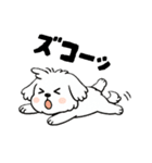 白い犬(もふもふマルチーズ)2（個別スタンプ：40）