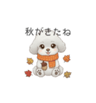 犬の日特集用♡トイプードル秋冬用スタンプ（個別スタンプ：1）
