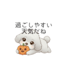 犬の日特集用♡トイプードル秋冬用スタンプ（個別スタンプ：2）