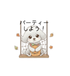 犬の日特集用♡トイプードル秋冬用スタンプ（個別スタンプ：16）