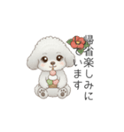 犬の日特集用♡トイプードル秋冬用スタンプ（個別スタンプ：25）