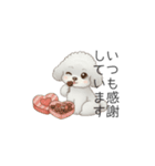 犬の日特集用♡トイプードル秋冬用スタンプ（個別スタンプ：36）