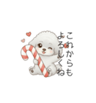 犬の日特集用♡トイプードル秋冬用スタンプ（個別スタンプ：38）