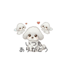 犬の日特集用♡トイプードル秋冬用スタンプ（個別スタンプ：39）