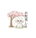 犬の日特集用♡トイプードル春夏用スタンプ（個別スタンプ：4）