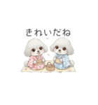 犬の日特集用♡トイプードル春夏用スタンプ（個別スタンプ：5）