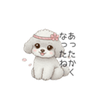 犬の日特集用♡トイプードル春夏用スタンプ（個別スタンプ：7）