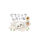 犬の日特集用♡トイプードル春夏用スタンプ（個別スタンプ：9）