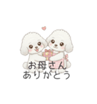 犬の日特集用♡トイプードル春夏用スタンプ（個別スタンプ：13）