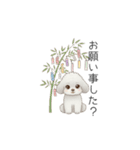 犬の日特集用♡トイプードル春夏用スタンプ（個別スタンプ：17）